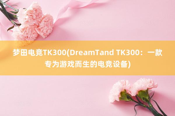 梦田电竞TK300(DreamTand TK300：一款专为游戏而生的电竞设备)