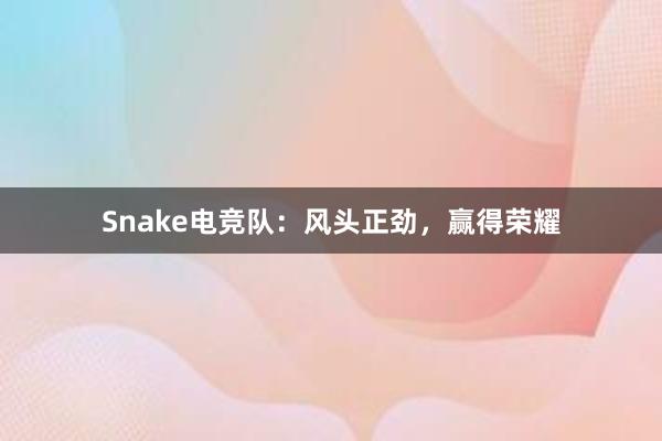 Snake电竞队：风头正劲，赢得荣耀