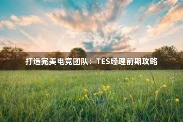 打造完美电竞团队：TES经理前期攻略