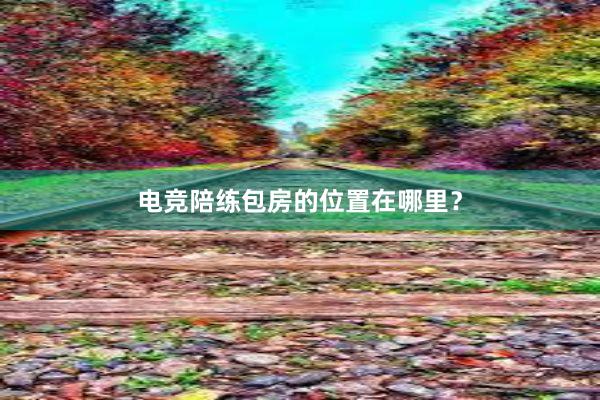 电竞陪练包房的位置在哪里？